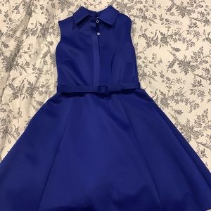 Mark & James for Badgley Mischka Collared Sleeveless Dress